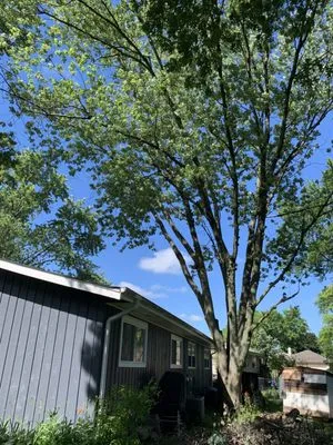 Munoz Landscaping Lawncare