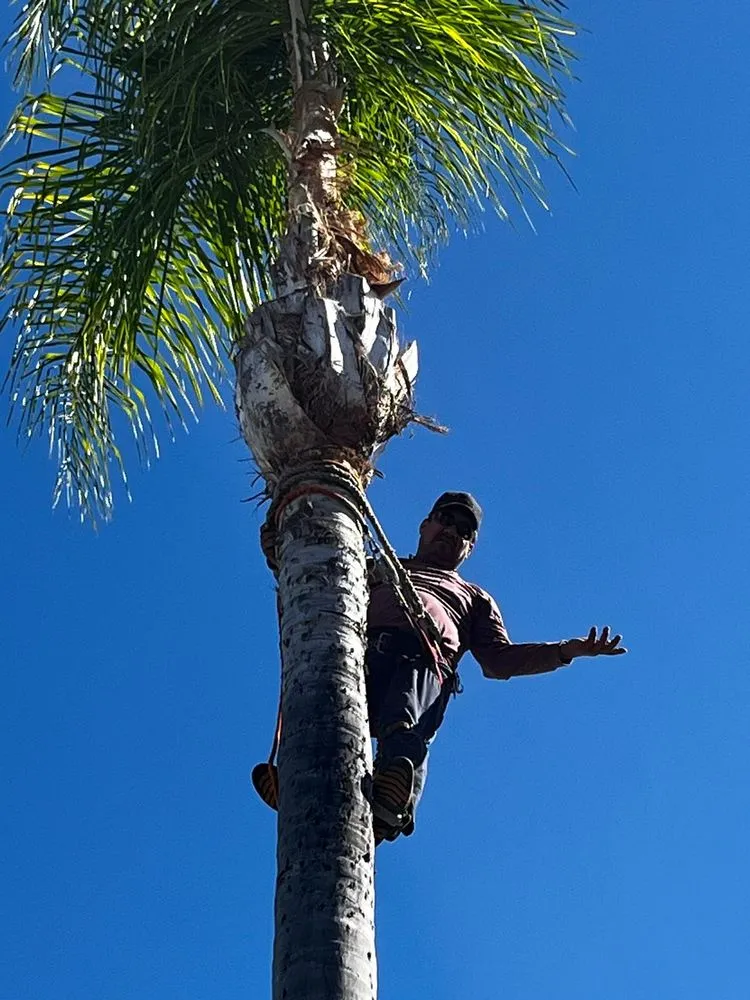 Custom landscape installation in Los Angeles, CA - munoz landscaping