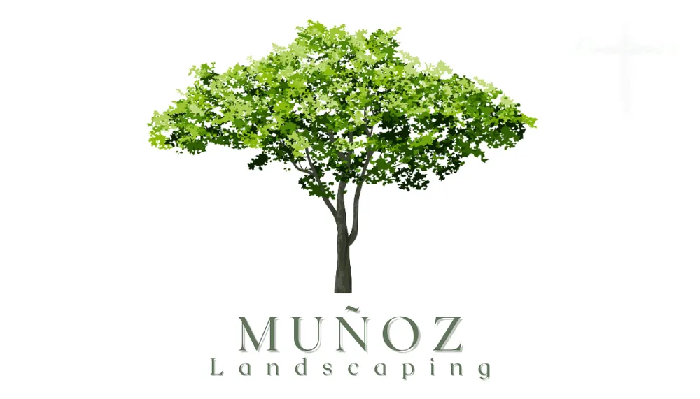 Trusted outdoor landscaping for outdoor upgrades across Los Angeles, CA - Munoz Landscaping