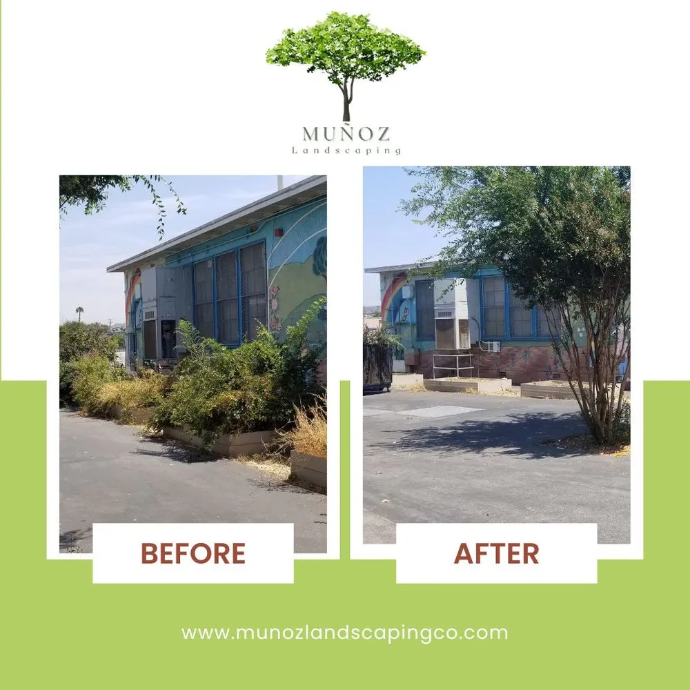 Custom yard maintenance for year-round maintenance across Los Angeles, CA - Munoz Landscaping