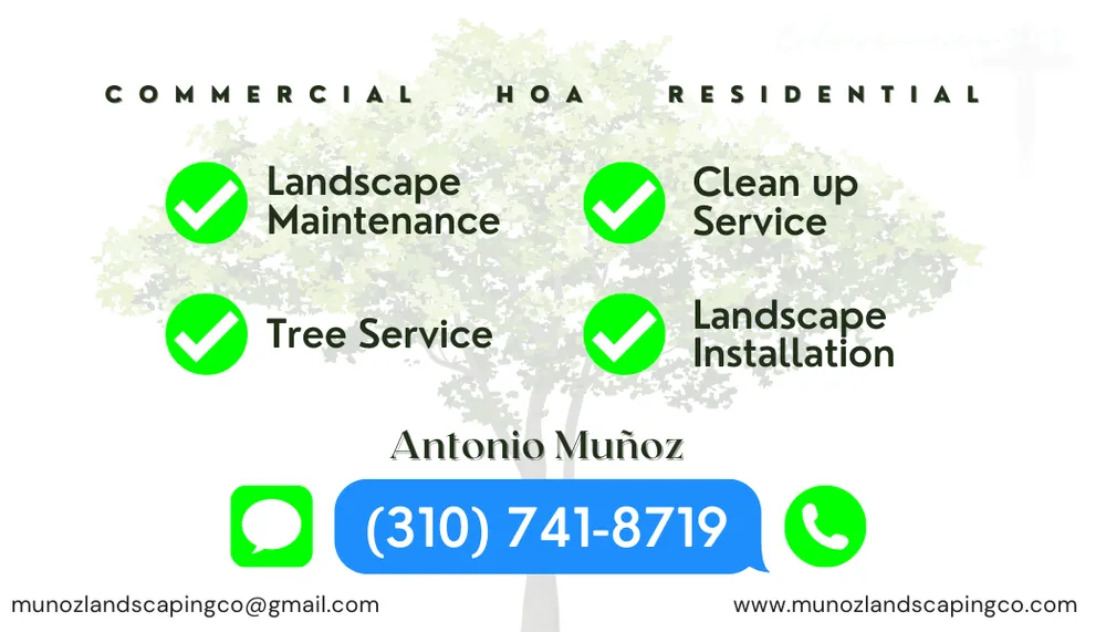 Top-rated yard cleanup service experts serving Los Angeles, CA - Munoz Landscaping