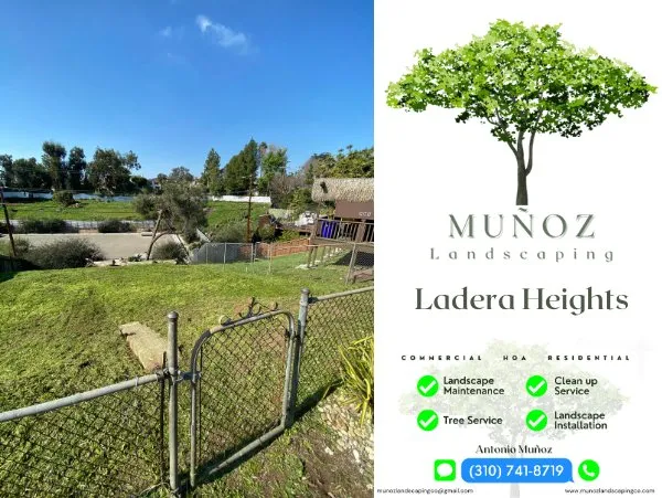 Top-rated landscaping services in Los Angeles, CA by Munoz Landscaping