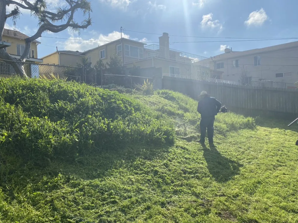 Custom outdoor landscaping for homes in Los Angeles, CA by Munoz Landscaping