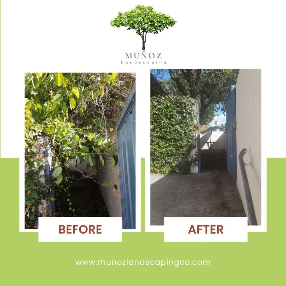 Trusted outdoor landscaping for residential properties in Los Angeles, CA by Munoz Landscaping