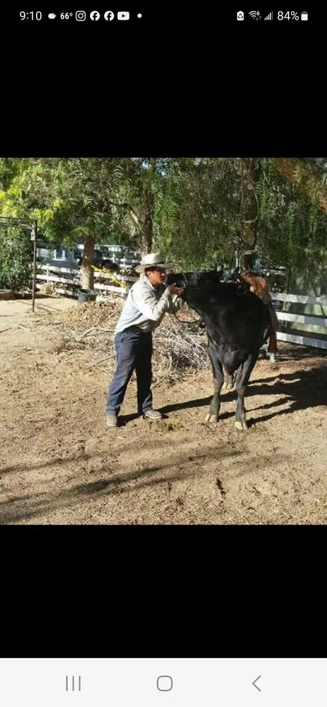 Expert landscape installation with custom design in Los Angeles, CA by munoz landscaping