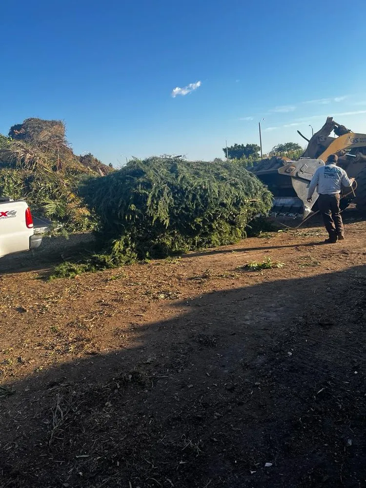 Custom landscape installation with custom design across Los Angeles, CA - munoz landscaping