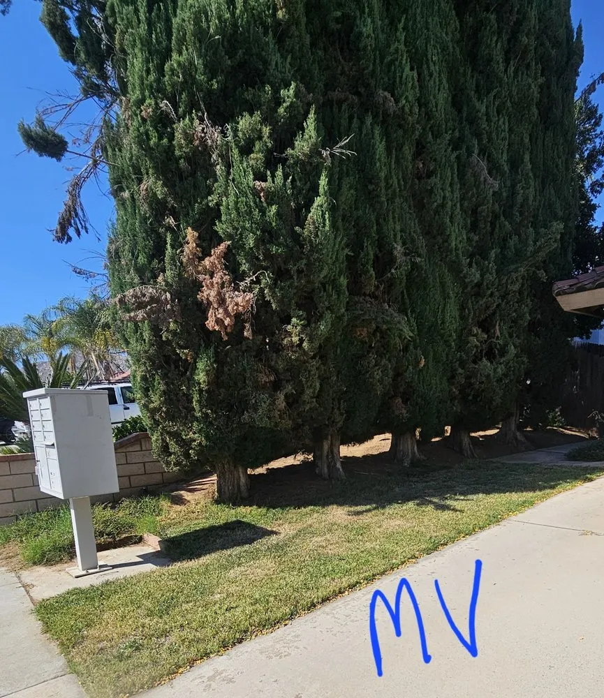 Custom lawn care service in Riverside, CA by Munoz Landscaping