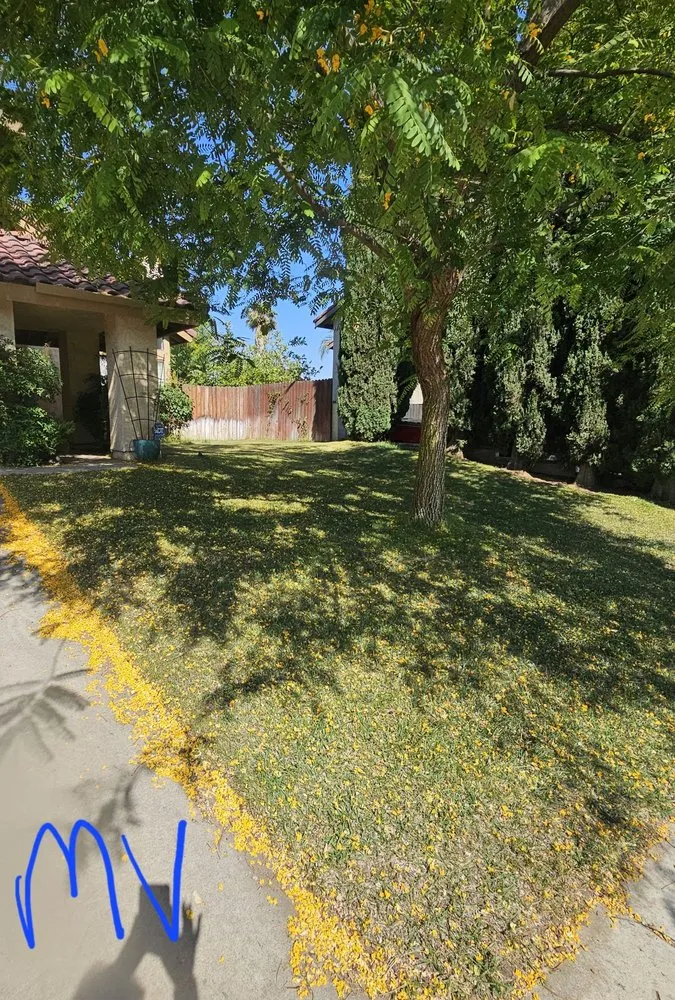 Reliable residential landscaping experts serving Riverside, CA - Munoz Landscaping