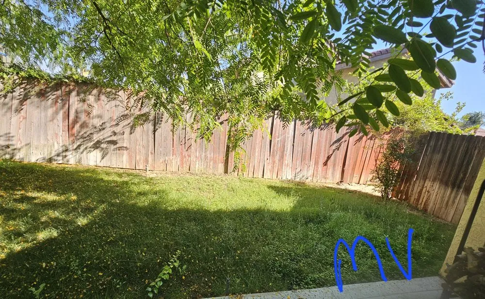 Professional yard cleanup service for residential properties across Riverside, CA - Munoz Landscaping