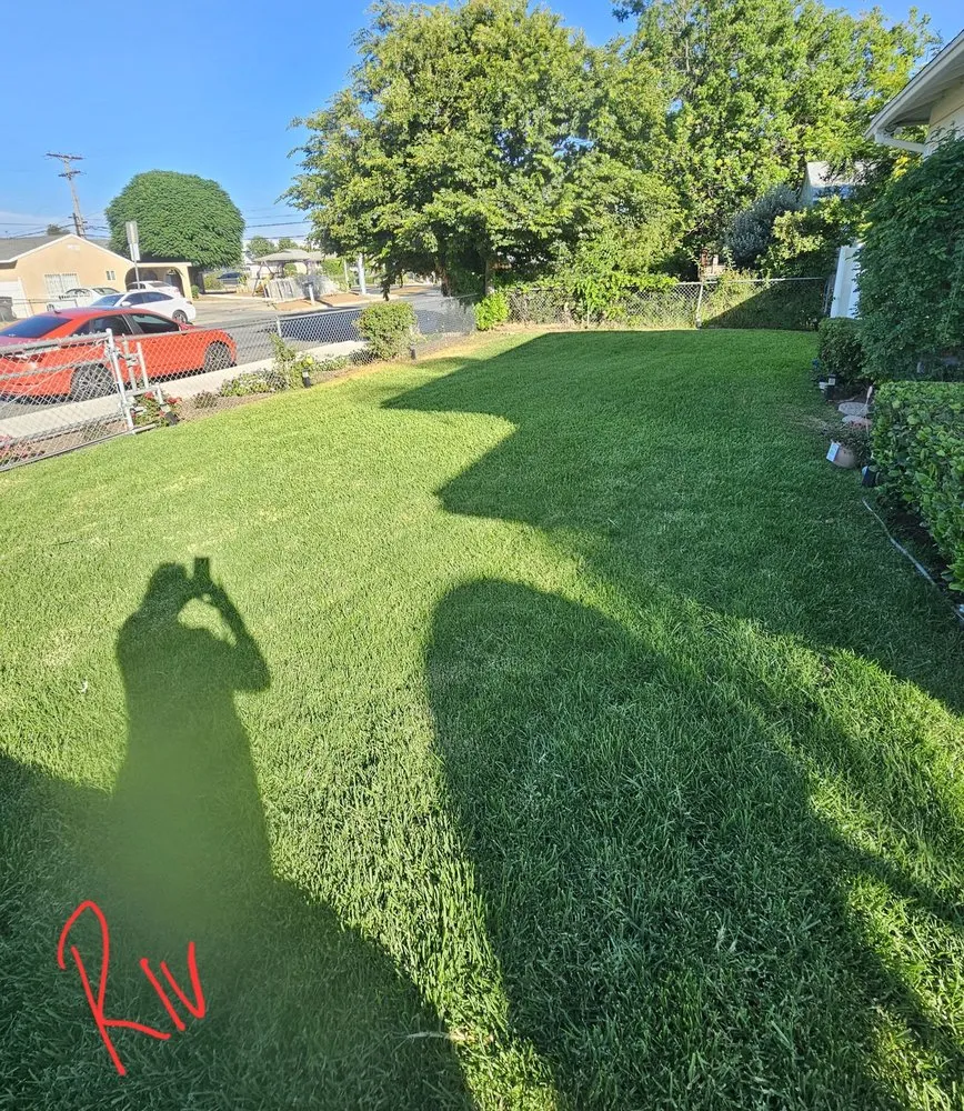 Reliable yard cleanup service in Riverside, CA - Munoz Landscaping