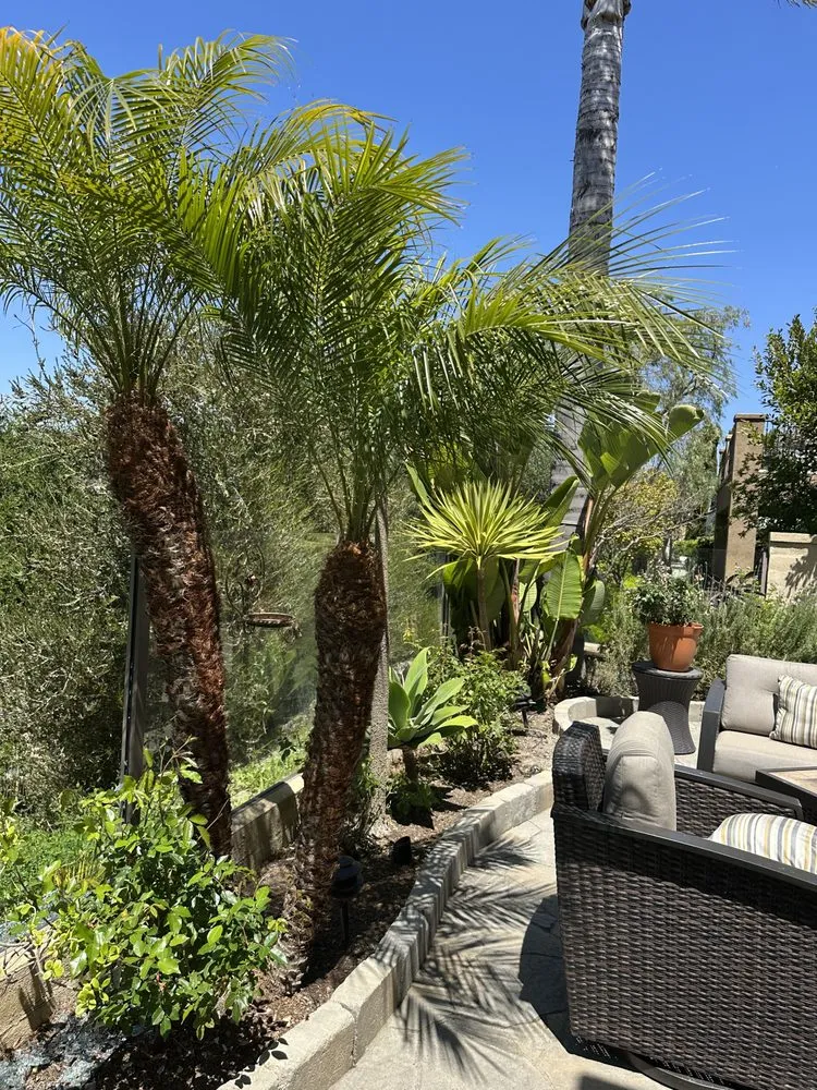 Reliable yard maintenance for residential properties in Riverside, CA by Munoz Landscaping