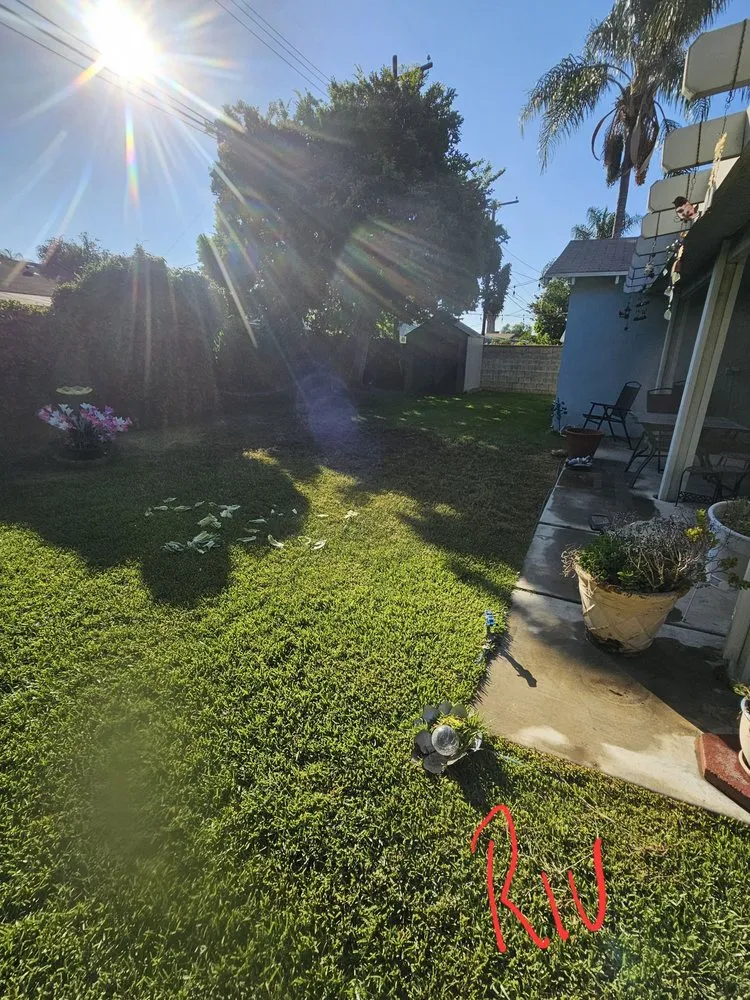 Affordable residential landscaping in Riverside, CA - Munoz Landscaping