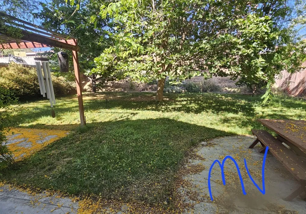 Reliable landscaping services in Riverside, CA by Munoz Landscaping