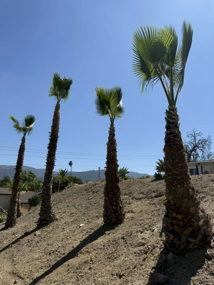 Reliable landscape installation near you across Riverside, CA - Munoz Landscaping