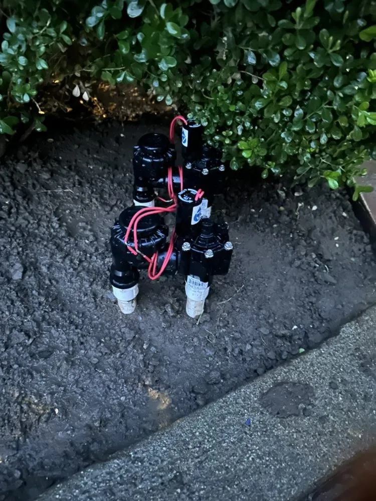 Custom outdoor landscaping experts serving Riverside, CA - Munoz Landscaping