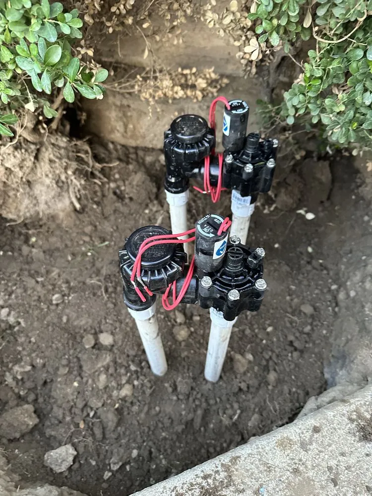 Professional yard maintenance experts serving Riverside, CA - Munoz Landscaping