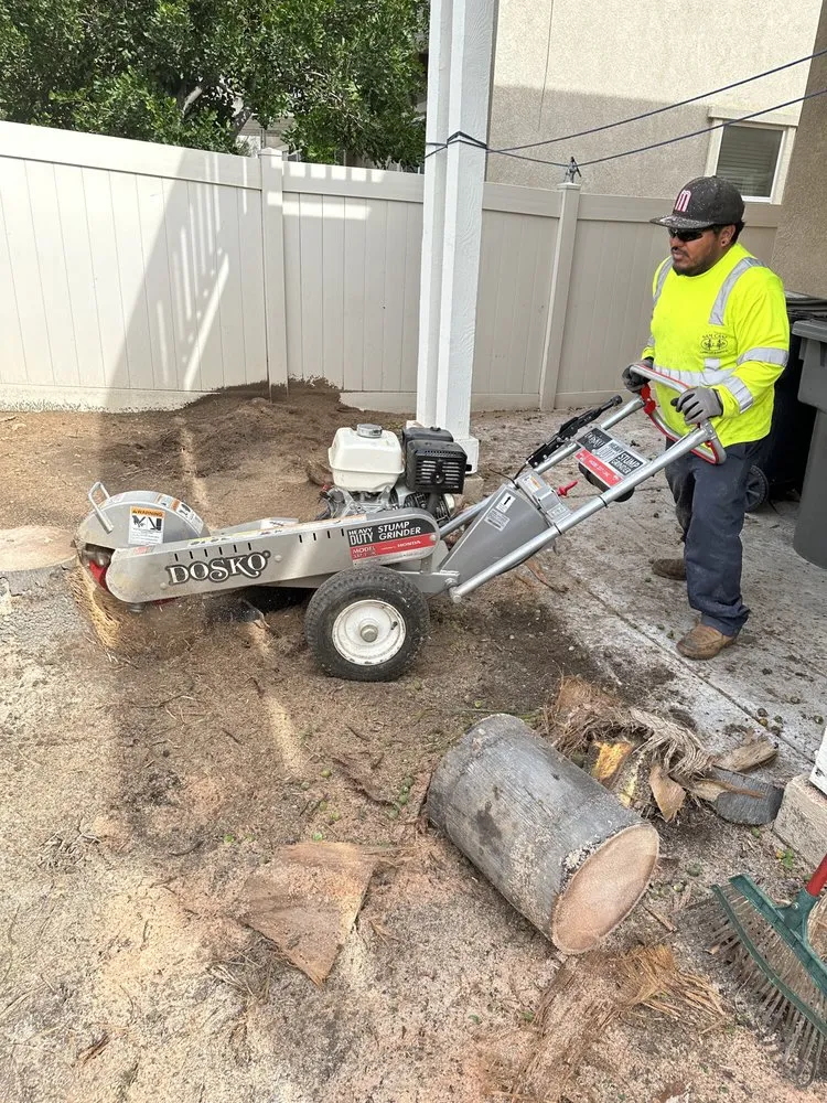 Trusted outdoor landscaping in Riverside, CA - Munoz Landscaping