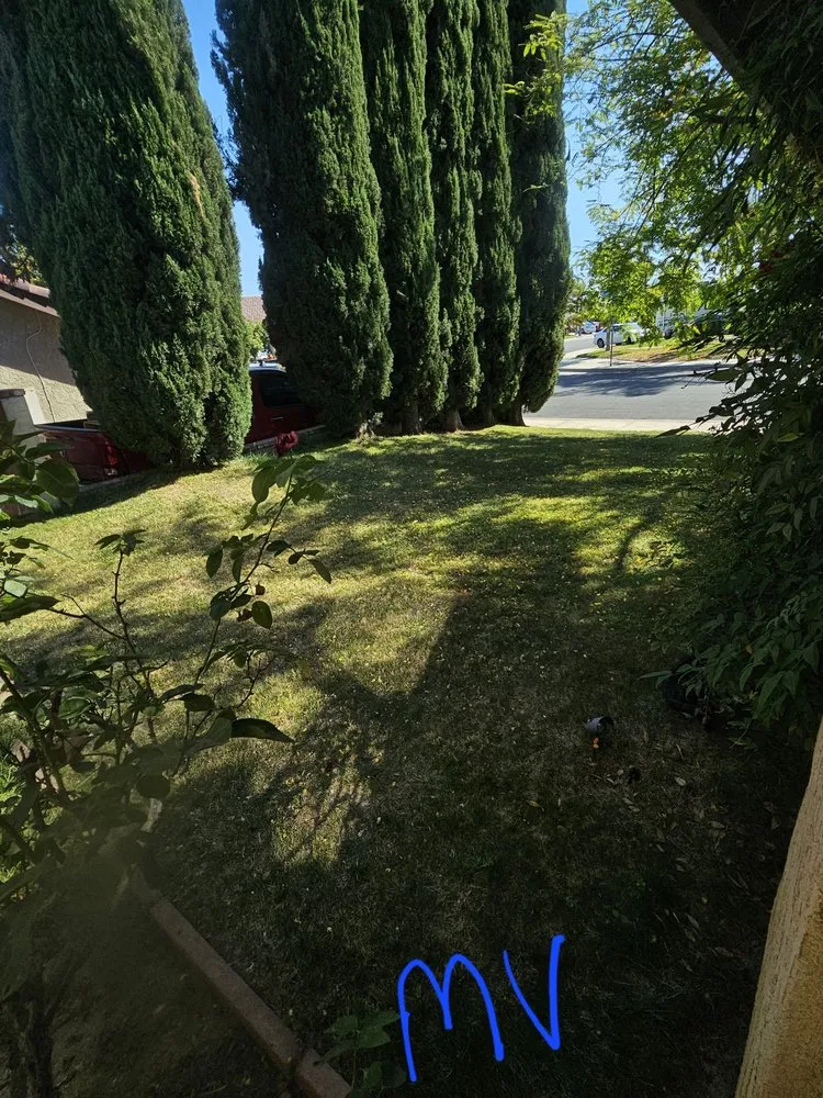 Reliable lawn care service in Riverside, CA by Munoz Landscaping