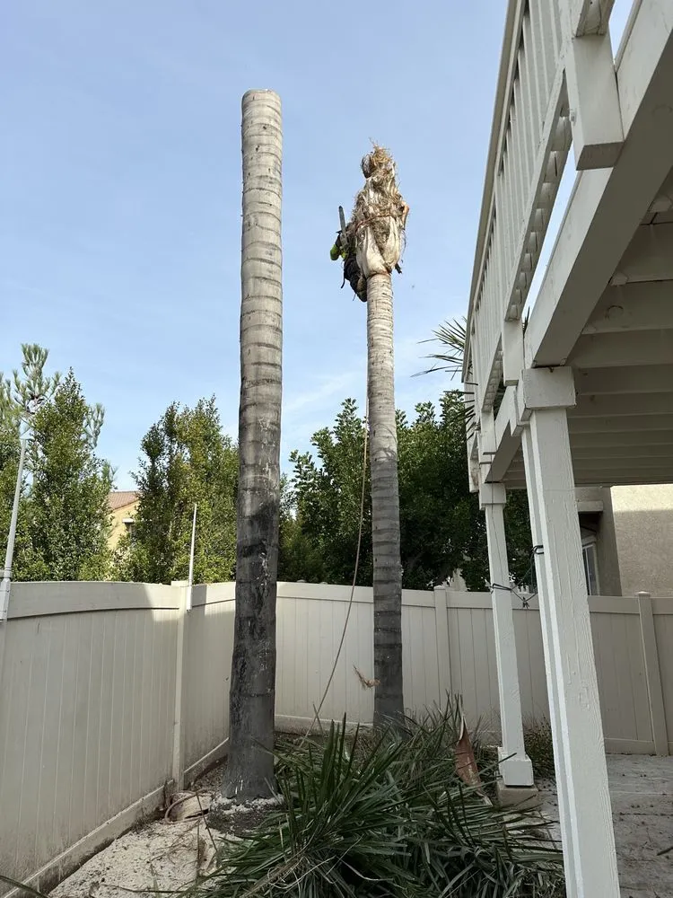 Professional yard maintenance in Riverside, CA - Munoz Landscaping