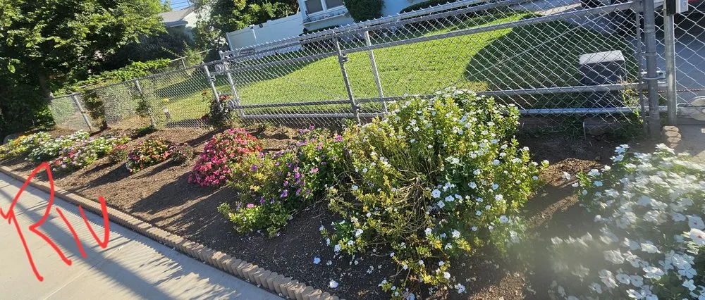 Affordable lawn mowing service in Riverside, CA by Munoz Landscaping