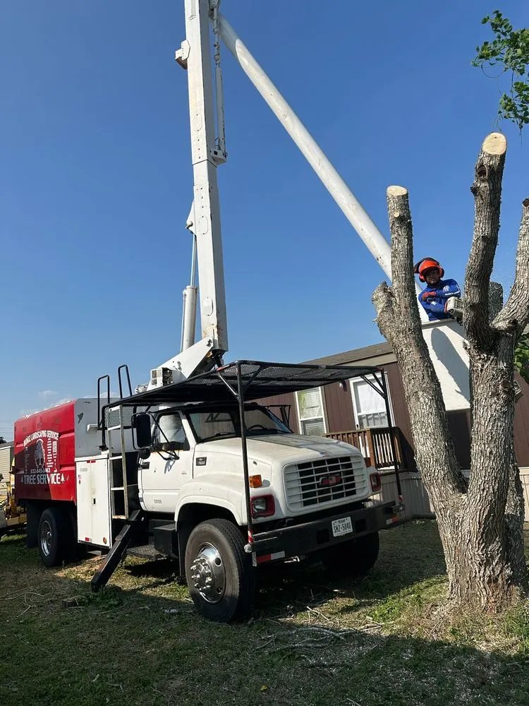 Local residential landscaping near you in Sealy, TX by Munoz Landscaping