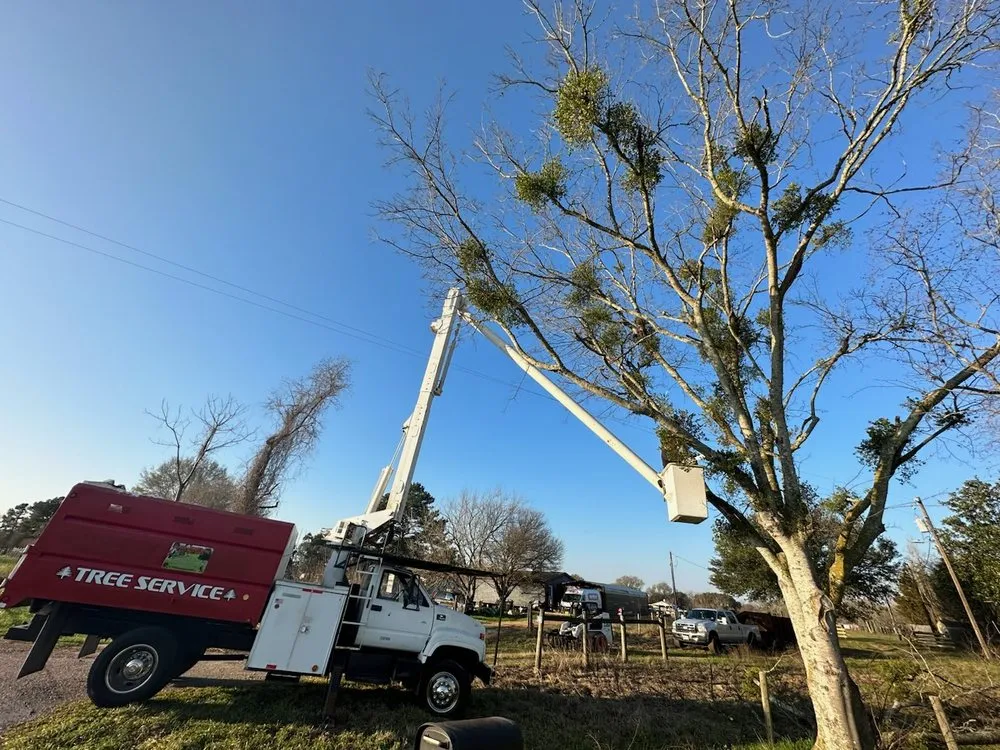 Reliable yard cleanup service for homes across Sealy, TX - Munoz Landscaping