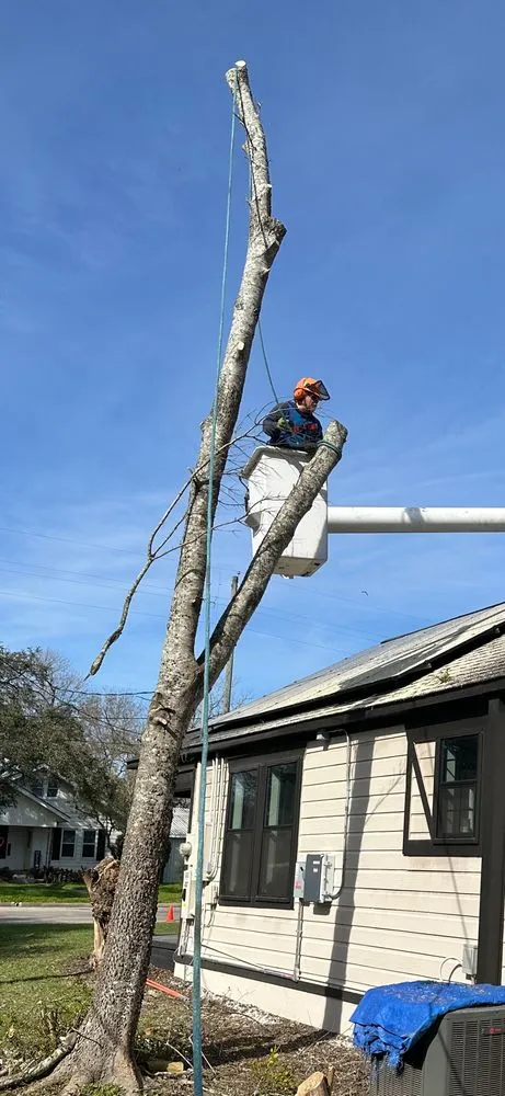 Custom lawn care service in Sealy, TX by Munoz Landscaping