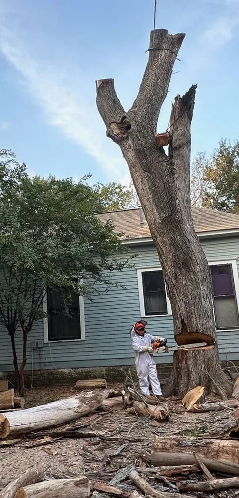 Trusted outdoor landscaping in Sealy, TX - Munoz Landscaping