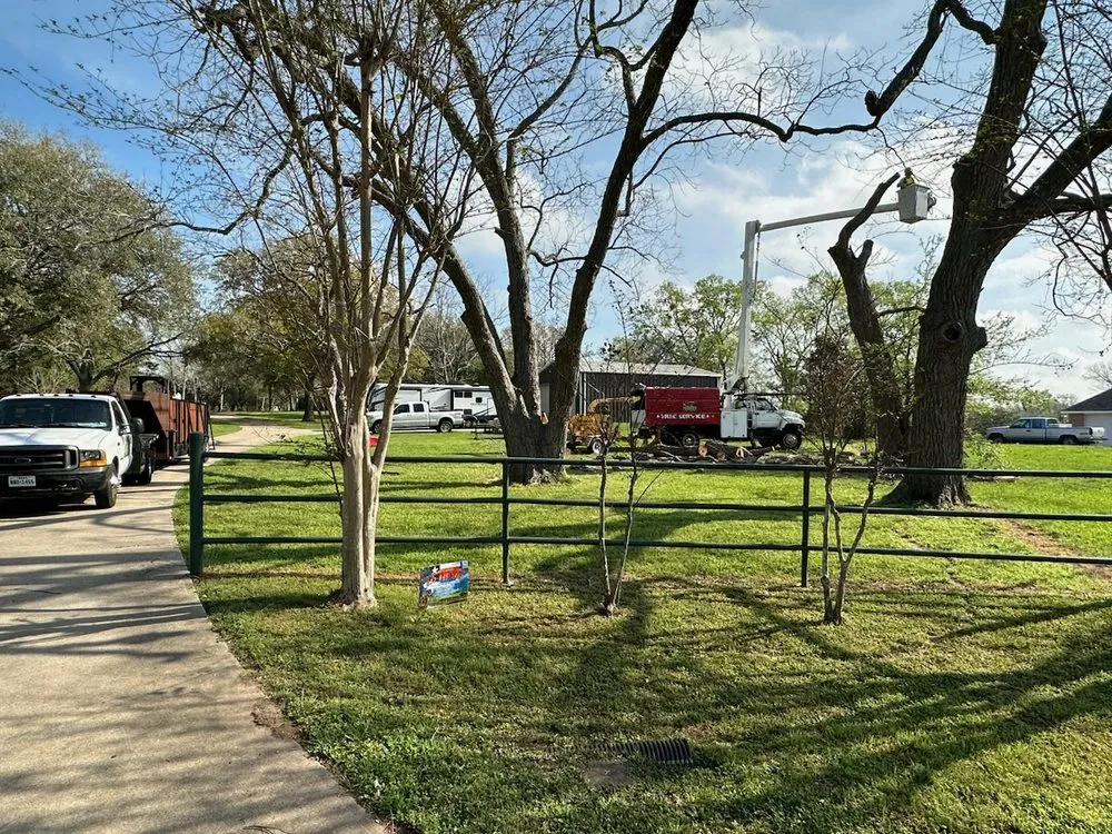 Expert yard cleanup service for outdoor upgrades across Sealy, TX - Munoz Landscaping