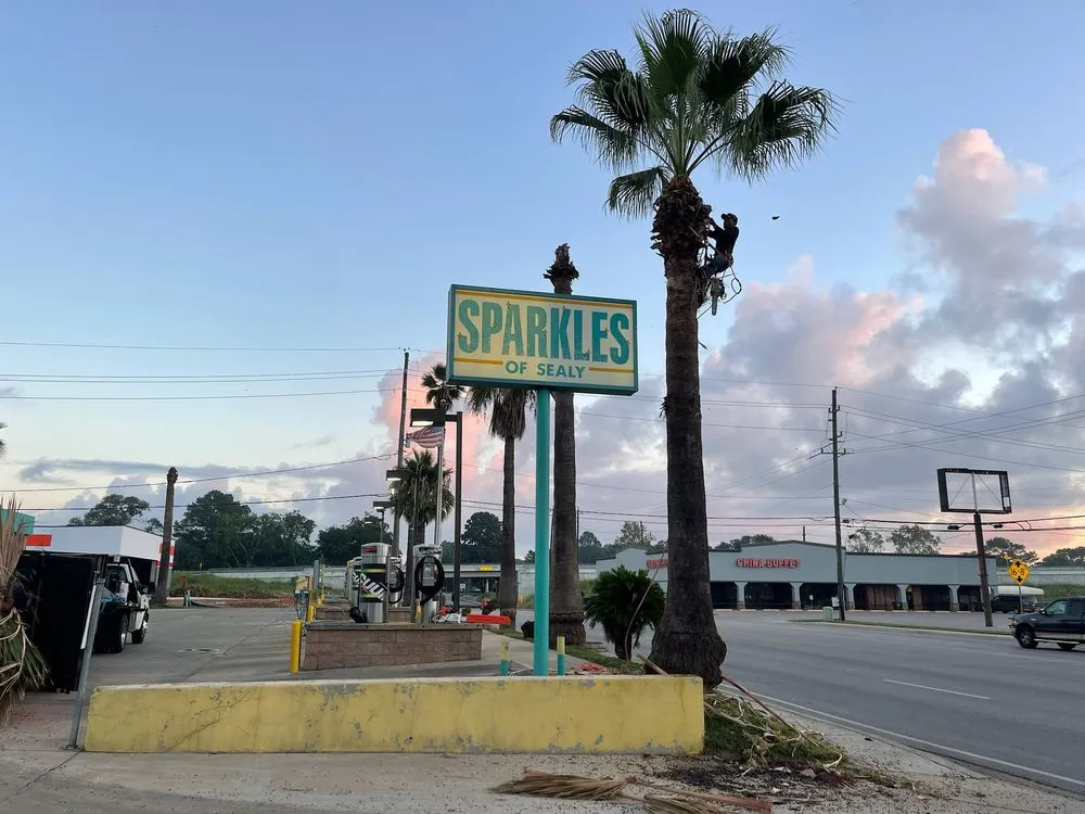 Top-rated outdoor landscaping experts serving Sealy, TX - Munoz Landscaping