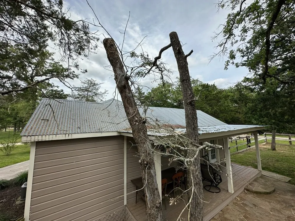 Expert lawn care service experts serving Sealy, TX - Munoz Landscaping