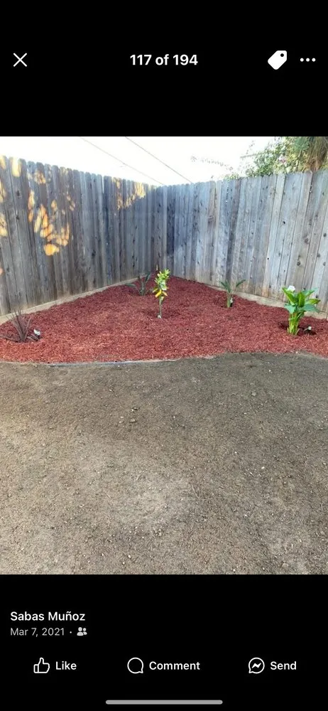 Top-rated outdoor landscaping in El Cajon, CA - Munoz Landscaping Services and More