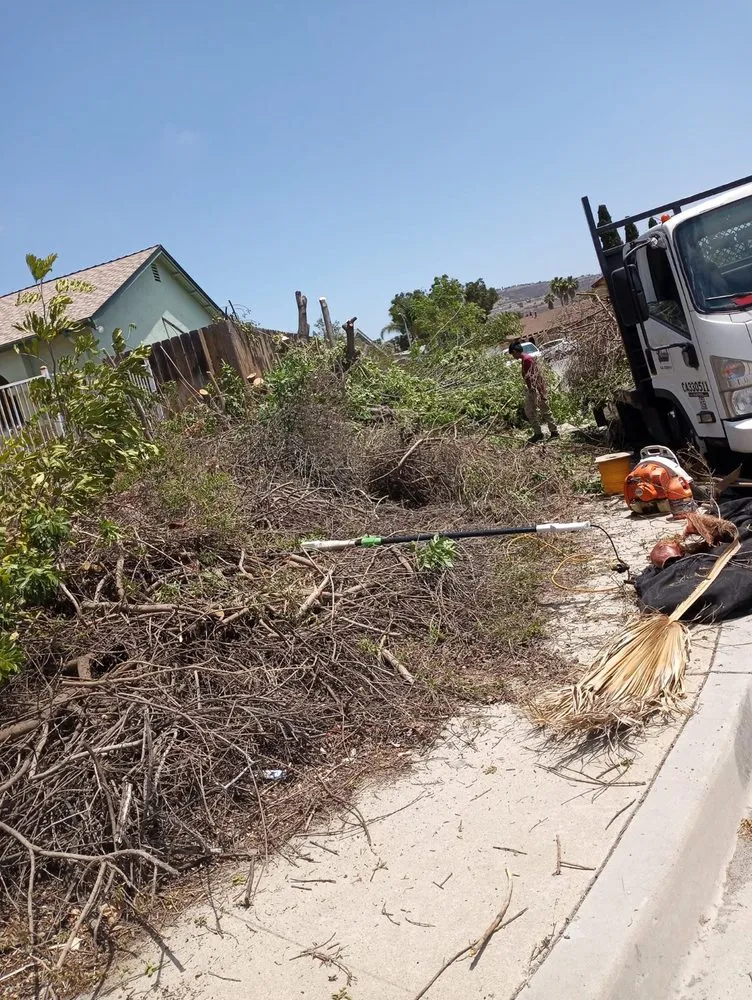 Local outdoor landscaping in El Cajon, CA - Munoz Landscaping Services and More