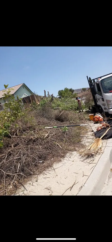 Reliable outdoor landscaping for beautiful yards in El Cajon, CA by Munoz Landscaping Services and More