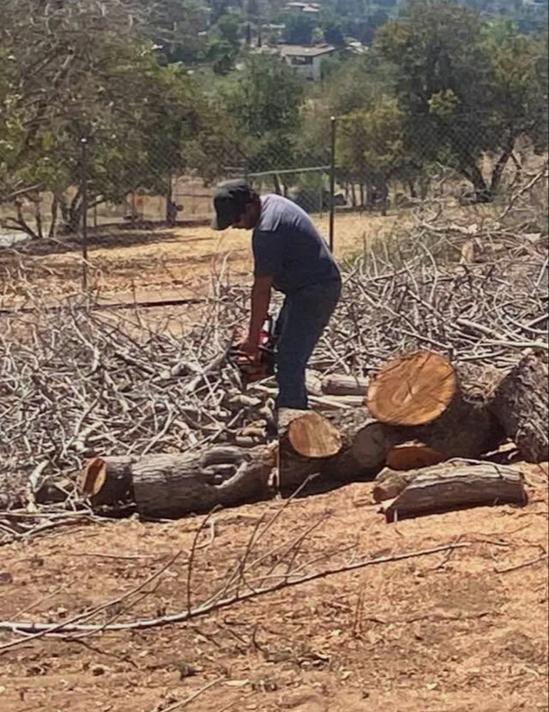 Top-rated lawn care service experts serving El Cajon, CA - Munoz Landscaping Services and More