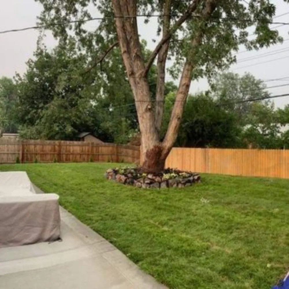 Reliable lawn care service experts serving Thornton, CO - Munoz Landscaping