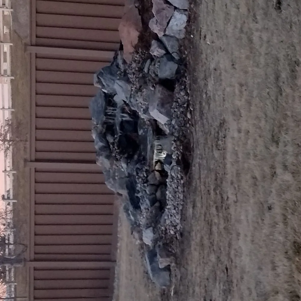 Reliable yard maintenance in Thornton, CO - Munoz Landscaping