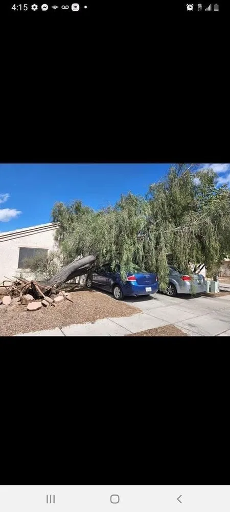 Reliable lawn mowing service for beautiful yards across Tucson, AZ - Munoz landscaping