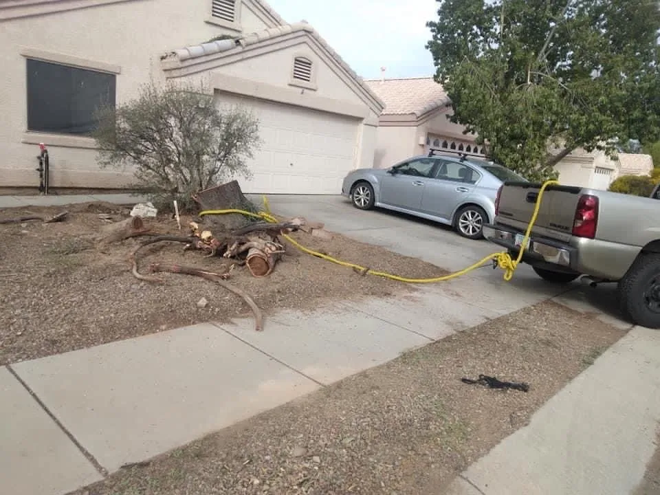 Custom garden landscaping in Tucson, AZ - Munoz landscaping