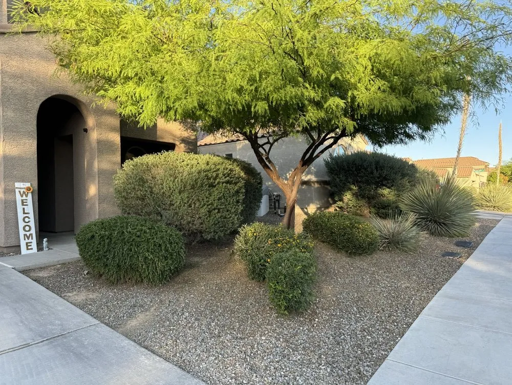 Reliable garden landscaping experts serving Tucson, AZ - Munoz landscaping