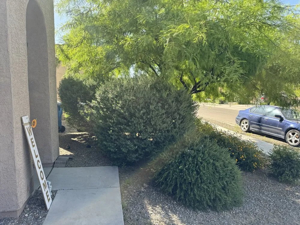 Local garden landscaping experts serving Tucson, AZ - Munoz landscaping