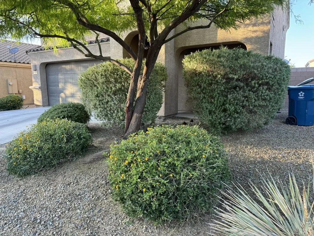 Expert landscaping services in Tucson, AZ - Munoz landscaping