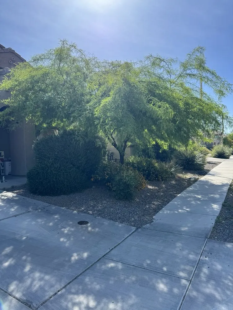 Expert garden landscaping in Tucson, AZ - Munoz landscaping