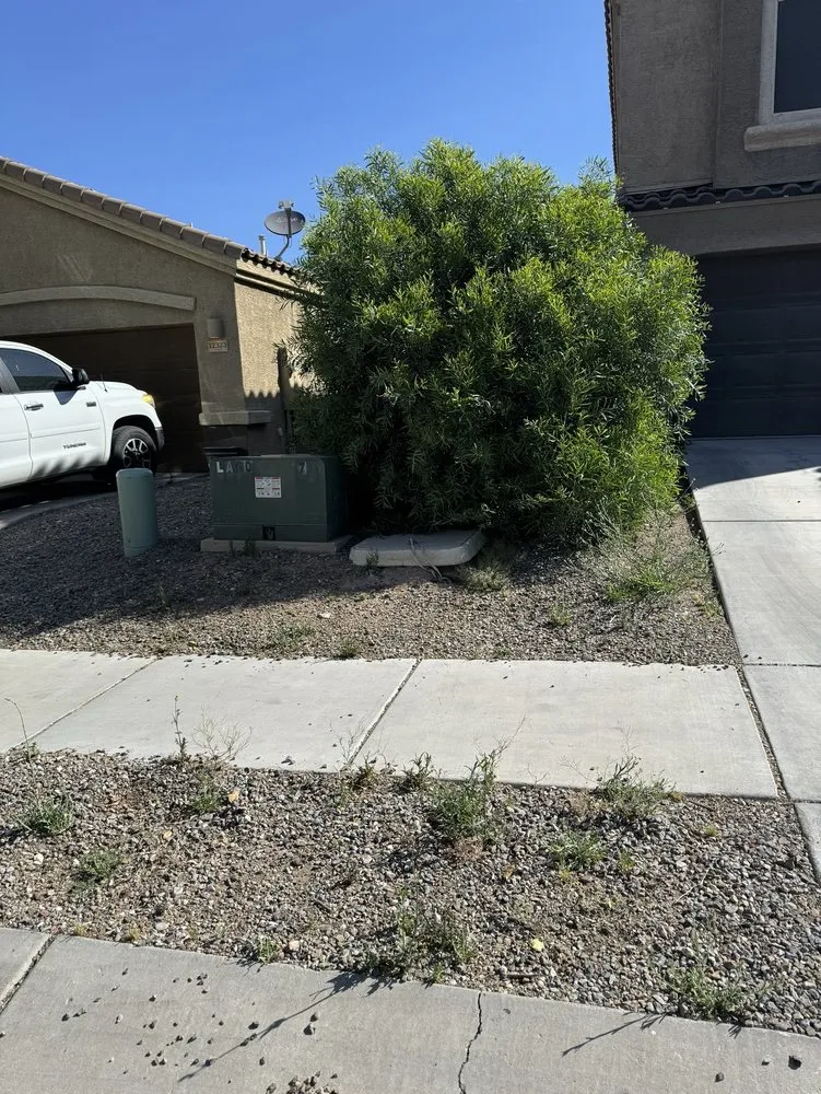 Expert landscape design for residential properties across Tucson, AZ - Munoz landscaping