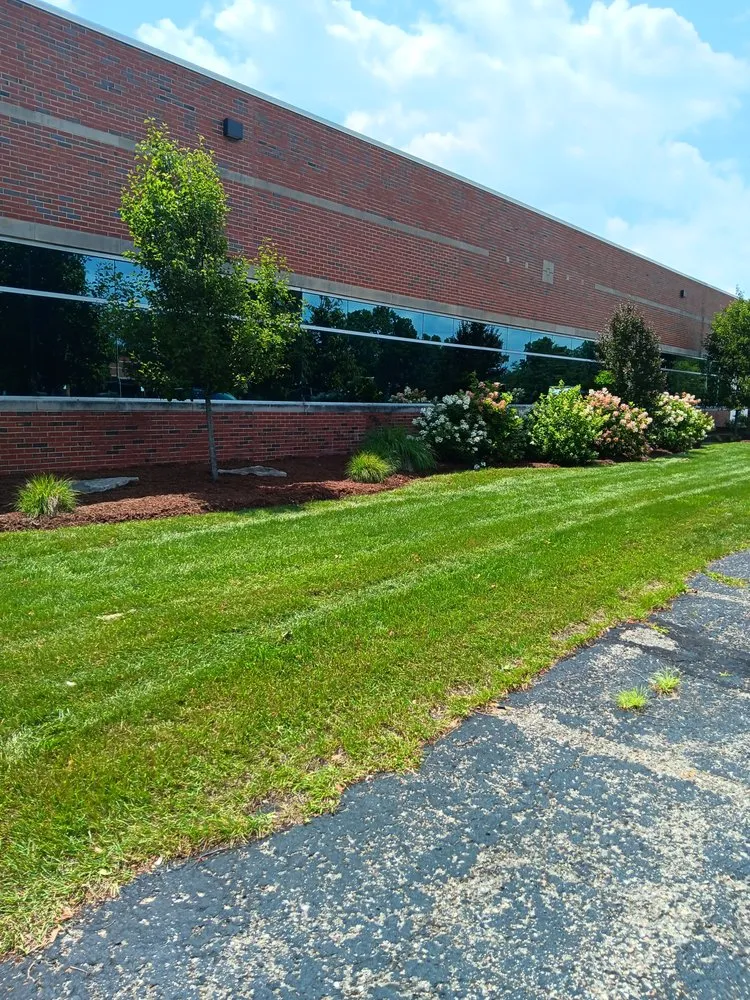 Top-rated lawn mowing service in Capac, MI - Munoz Lawn Care & Snow Removal