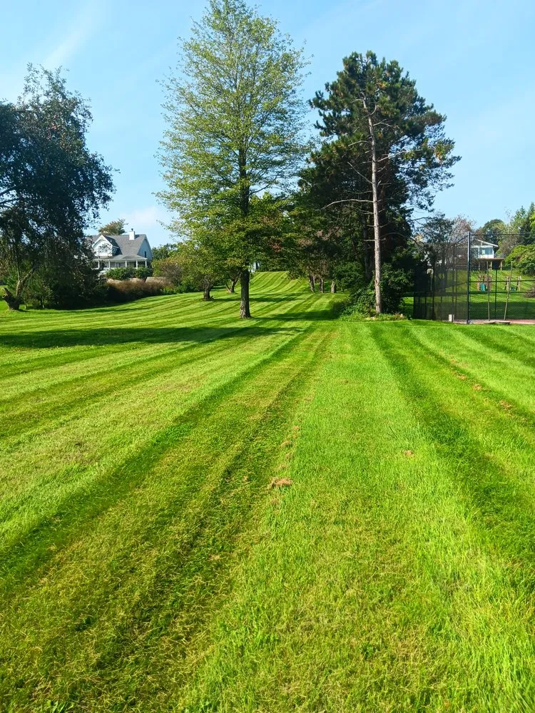 Top-rated yard maintenance experts serving Capac, MI - Munoz Lawn Care & Snow Removal
