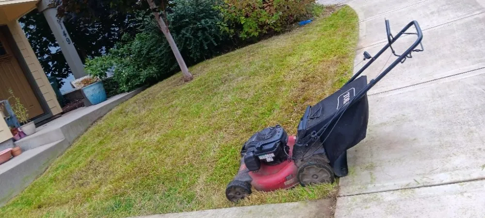 Custom yard cleanup service experts serving Independence, OR - Munoz Professional Services