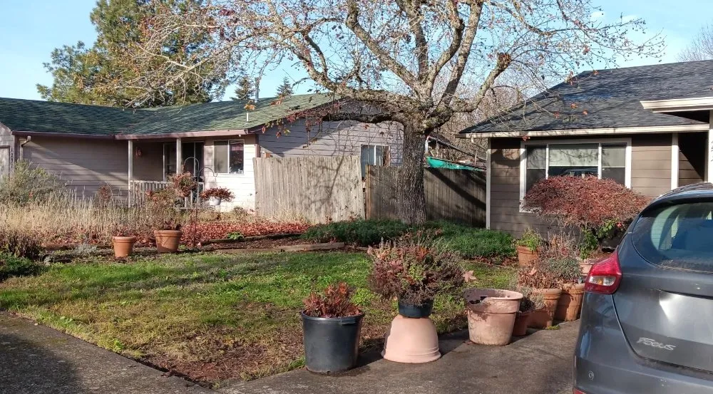 Reliable lawn care service experts serving Independence, OR - Munoz Professional Services