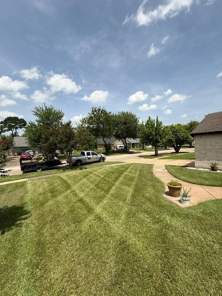Top-rated lawn mowing service near you across Houston, TX - Munoz Service Crew