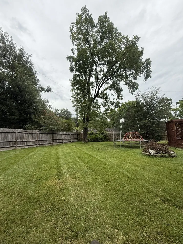 Custom lawn care service for homes across Houston, TX - Munoz Service Crew